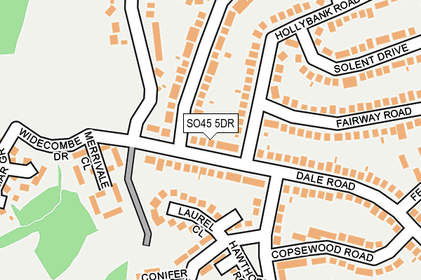 SO45 5DR map - OS OpenMap – Local (Ordnance Survey)