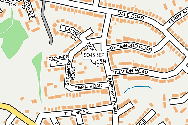 SO45 5EP map - OS OpenMap – Local (Ordnance Survey)