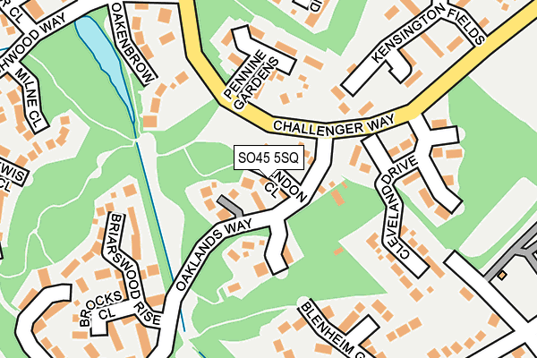 SO45 5SQ map - OS OpenMap – Local (Ordnance Survey)