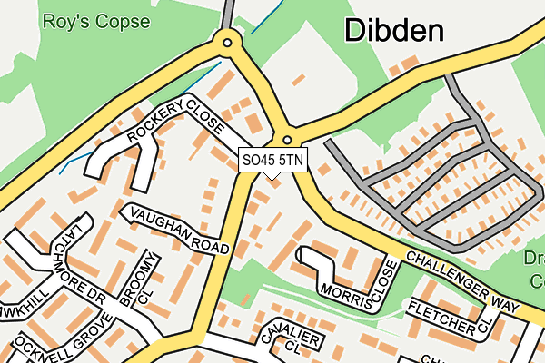 SO45 5TN map - OS OpenMap – Local (Ordnance Survey)