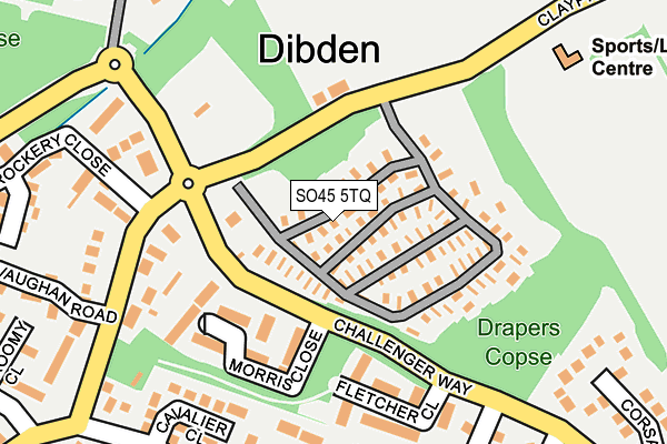 SO45 5TQ map - OS OpenMap – Local (Ordnance Survey)