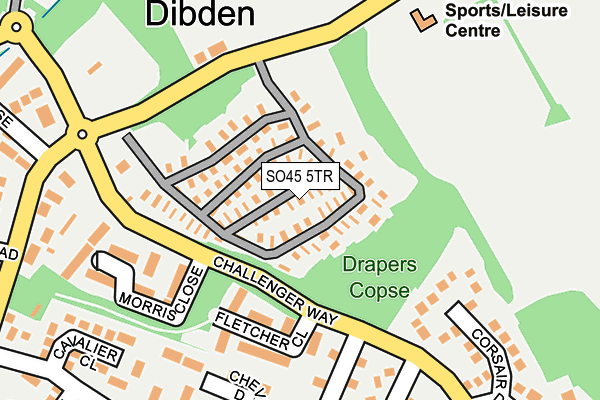 SO45 5TR map - OS OpenMap – Local (Ordnance Survey)