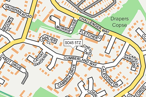 SO45 5TZ map - OS OpenMap – Local (Ordnance Survey)