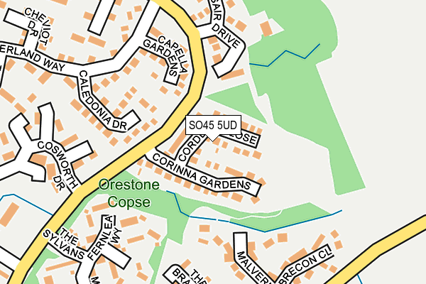 SO45 5UD map - OS OpenMap – Local (Ordnance Survey)