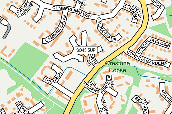 SO45 5UP map - OS OpenMap – Local (Ordnance Survey)