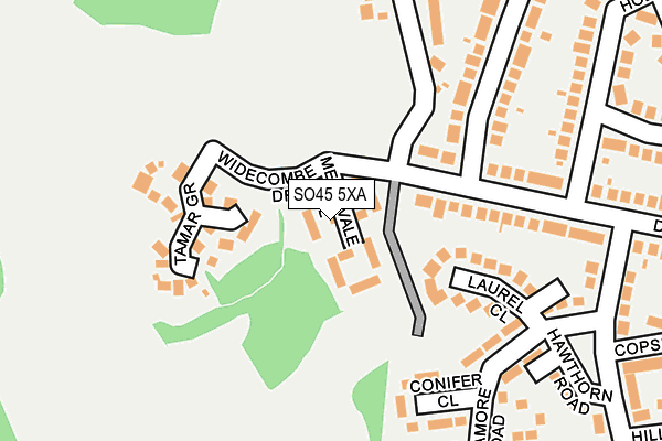 SO45 5XA map - OS OpenMap – Local (Ordnance Survey)