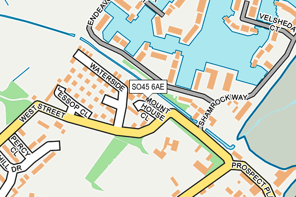 SO45 6AE map - OS OpenMap – Local (Ordnance Survey)