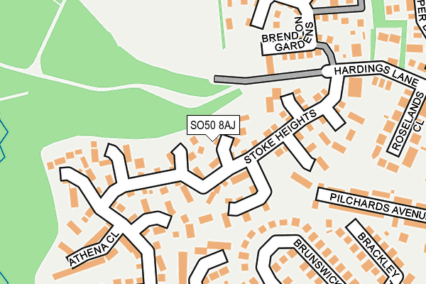SO50 8AJ map - OS OpenMap – Local (Ordnance Survey)