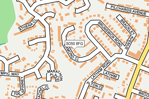 SO50 8FG map - OS OpenMap – Local (Ordnance Survey)