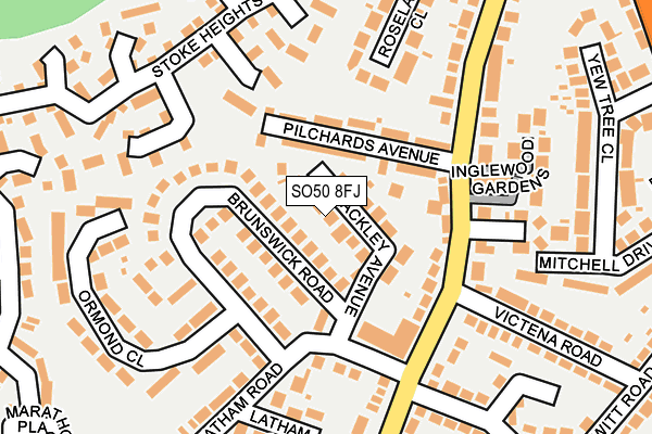 SO50 8FJ map - OS OpenMap – Local (Ordnance Survey)