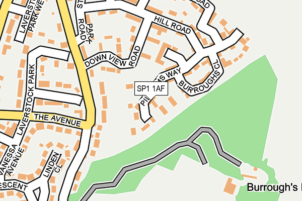 SP1 1AF map - OS OpenMap – Local (Ordnance Survey)