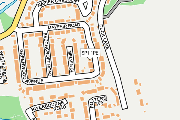 SP1 1PE map - OS OpenMap – Local (Ordnance Survey)