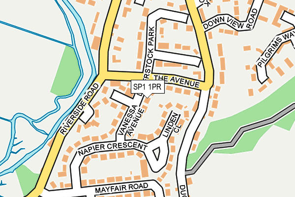 SP1 1PR map - OS OpenMap – Local (Ordnance Survey)