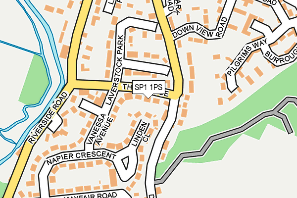SP1 1PS map - OS OpenMap – Local (Ordnance Survey)