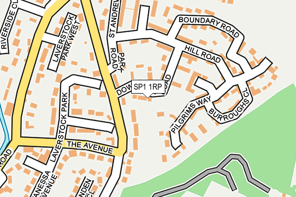 SP1 1RP map - OS OpenMap – Local (Ordnance Survey)