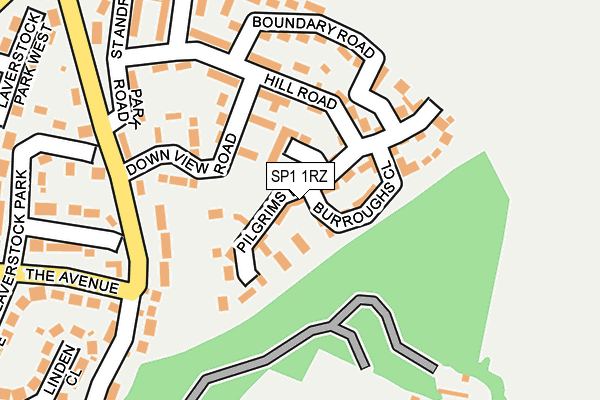 SP1 1RZ map - OS OpenMap – Local (Ordnance Survey)