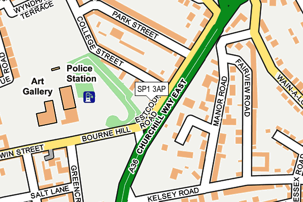 SP1 3AP map - OS OpenMap – Local (Ordnance Survey)