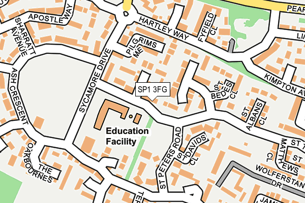 SP1 3FG map - OS OpenMap – Local (Ordnance Survey)