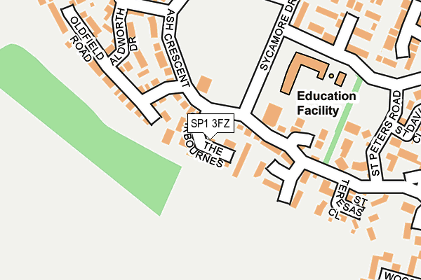 SP1 3FZ map - OS OpenMap – Local (Ordnance Survey)
