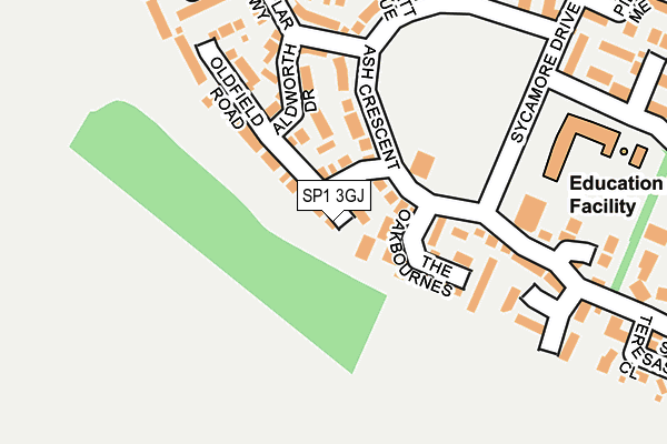 SP1 3GJ map - OS OpenMap – Local (Ordnance Survey)