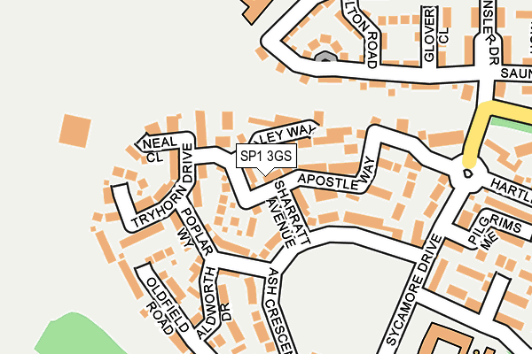 SP1 3GS map - OS OpenMap – Local (Ordnance Survey)