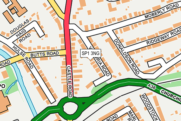 SP1 3NG map - OS OpenMap – Local (Ordnance Survey)
