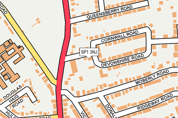 SP1 3NJ map - OS OpenMap – Local (Ordnance Survey)