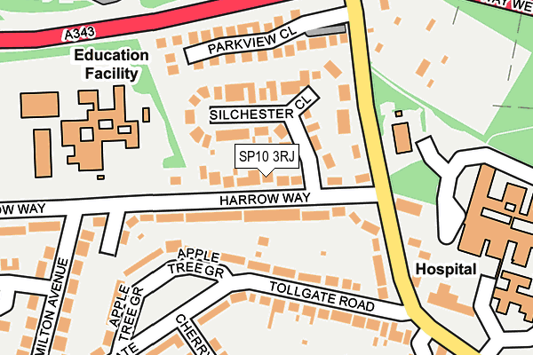 SP10 3RJ map - OS OpenMap – Local (Ordnance Survey)