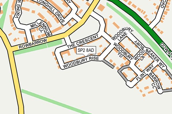 SP2 8AD map - OS OpenMap – Local (Ordnance Survey)