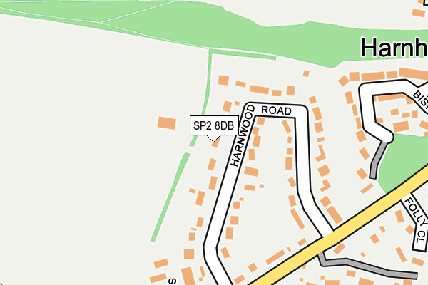 SP2 8DB map - OS OpenMap – Local (Ordnance Survey)