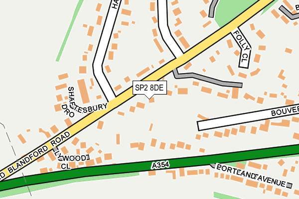 SP2 8DE map - OS OpenMap – Local (Ordnance Survey)