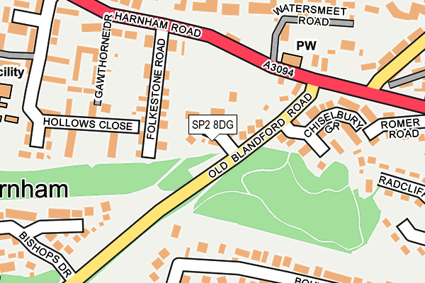 SP2 8DG map - OS OpenMap – Local (Ordnance Survey)