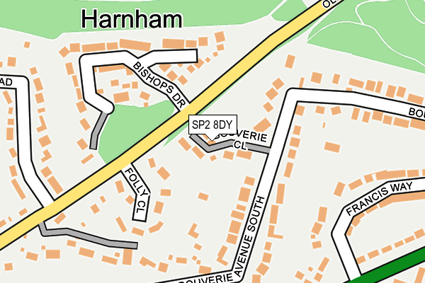 SP2 8DY map - OS OpenMap – Local (Ordnance Survey)