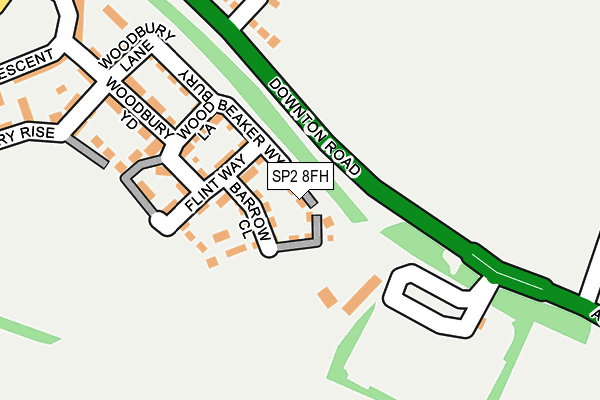SP2 8FH map - OS OpenMap – Local (Ordnance Survey)