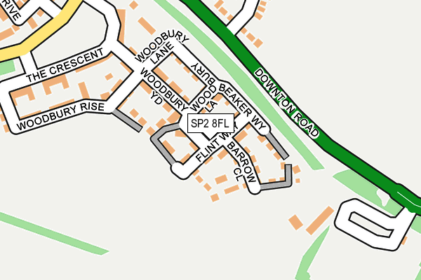 SP2 8FL map - OS OpenMap – Local (Ordnance Survey)