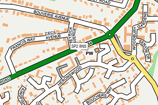 SP2 8NS map - OS OpenMap – Local (Ordnance Survey)