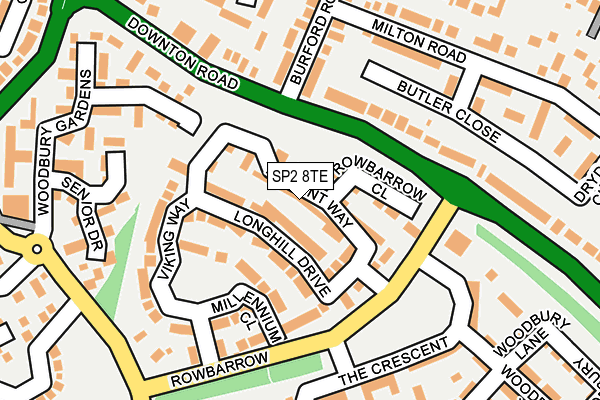 SP2 8TE map - OS OpenMap – Local (Ordnance Survey)