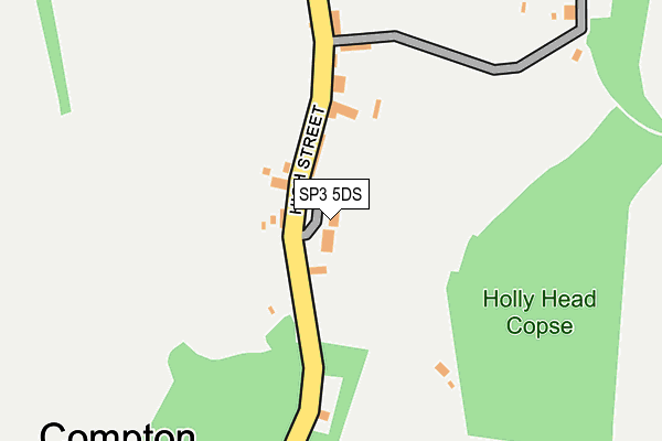 SP3 5DS map - OS OpenMap – Local (Ordnance Survey)