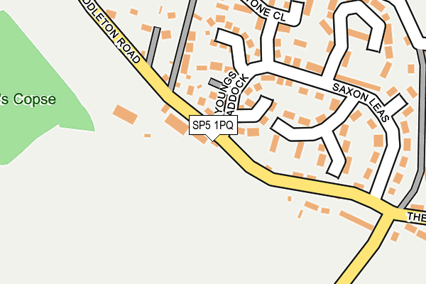 SP5 1PQ map - OS OpenMap – Local (Ordnance Survey)