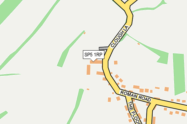 SP5 1RP map - OS OpenMap – Local (Ordnance Survey)