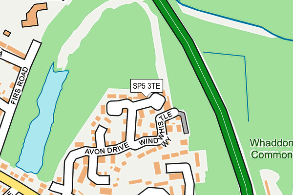 SP5 3TE map - OS OpenMap – Local (Ordnance Survey)