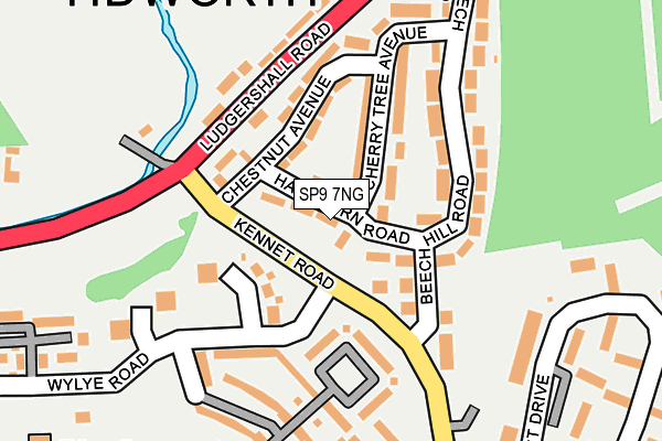 SP9 7NG map - OS OpenMap – Local (Ordnance Survey)