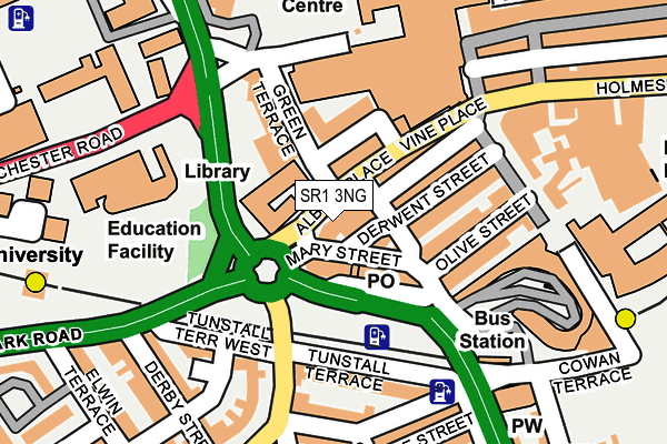 SR1 3NG map - OS OpenMap – Local (Ordnance Survey)