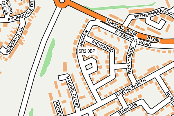 SR2 0BP map - OS OpenMap – Local (Ordnance Survey)