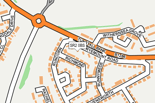 SR2 0BS map - OS OpenMap – Local (Ordnance Survey)