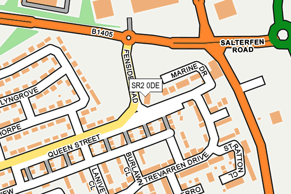 SR2 0DE map - OS OpenMap – Local (Ordnance Survey)