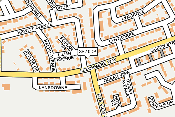 SR2 0DP map - OS OpenMap – Local (Ordnance Survey)
