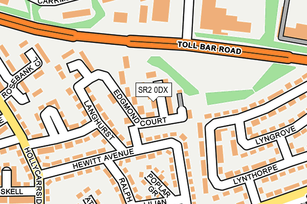SR2 0DX map - OS OpenMap – Local (Ordnance Survey)