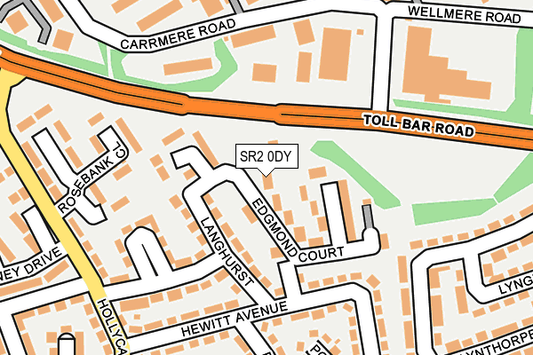 SR2 0DY map - OS OpenMap – Local (Ordnance Survey)