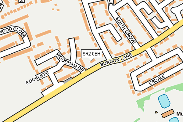 SR2 0EH map - OS OpenMap – Local (Ordnance Survey)